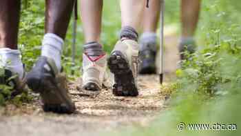Summer means more bugs, heat and injuries. Here's how to protect yourself