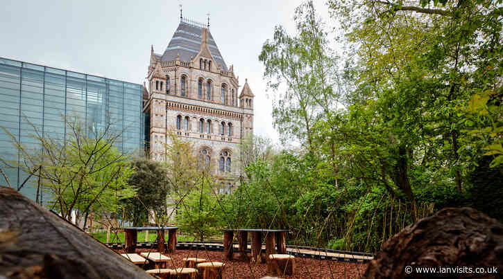 Tours of the Natural History Museum’s new gardens