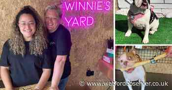 Winnie's Yard natural dog food shop opens in Watford