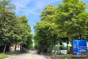 Nieuwe oversteekplaatsen op Nieuwelaan aan schoolomgeving: “Werken duren twee weken”