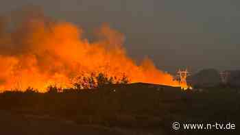 Großes Evakuierungsgebiet: Feuerwehr kann Waldbrände in Arizona nicht eindämmen