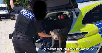 Bournemouth Police officers rescue dog trapped in hot car