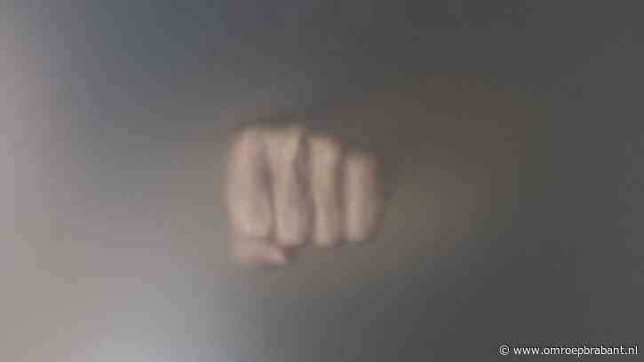 Agenten geschopt en geslagen na melding over huiselijk geweld