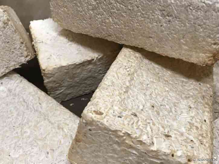 NASA trekt nog eens 2 miljoen uit om schimmelige huizen te bouwen