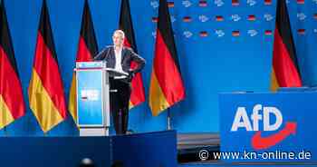 AfD-Parteitag in Essen: Alice Weiden und Tino Chrupalla üben sich in Harmonie - und ihre Partei folgt ihnen