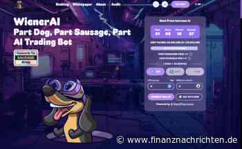 Experten wetten jetzt auf diesen neuen Meme-Coin