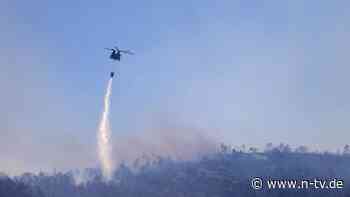 Feuerwehr im Großeinsatz: Waldbrand wütet im Norden Athens