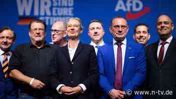 Neue Spitze komplett: AfD wählt fünf Neue in den Vorstand