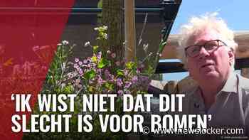 Door bewoners geplante bloemen moeten weg van gemeente