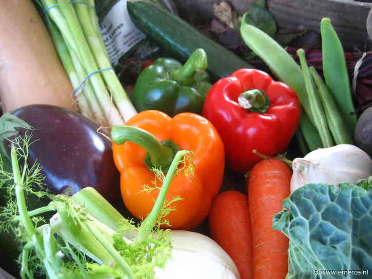 Nieuwe CEO voor Marley Spoon