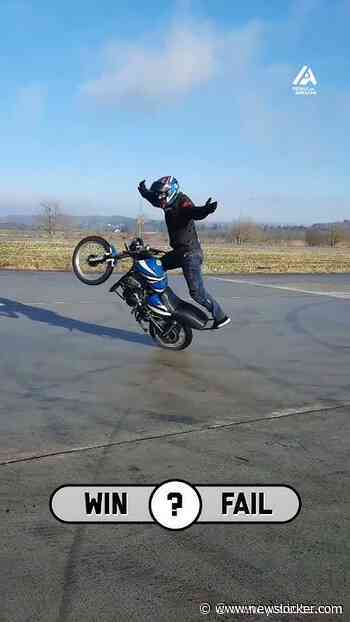 Which clips your favorite?