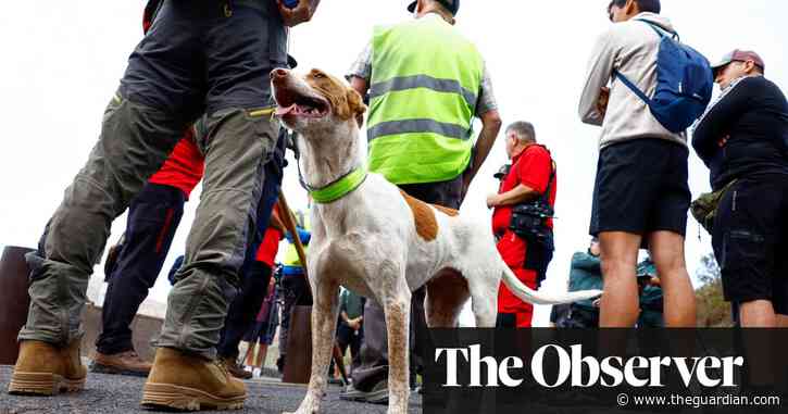 Jay Slater: expert volunteers join search for missing teenager in Tenerife