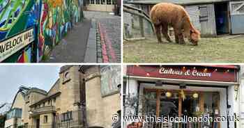 Forest Hill 'one of the best' neighbourhoods in London