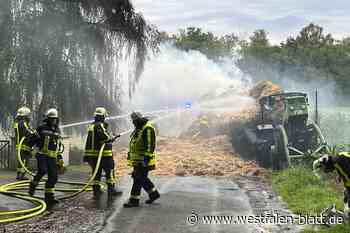 Halle: Traktor und Anhänger in Vollbrand