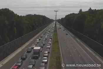 Fileleed op E40 richting kust door gekantelde vrachtwagen in Aalter