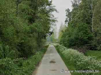 Bestuurder spoorloos nadat wagen in Schelde eindigt