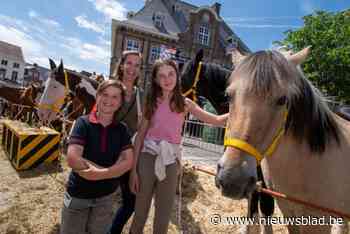 Paardenmarkt lokt opnieuw massa volk naar centrum: “Jaarlijkse traditie die niet mag verdwijnen”