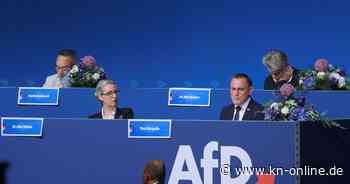 AfD tritt aus europäischer ID-Partei aus