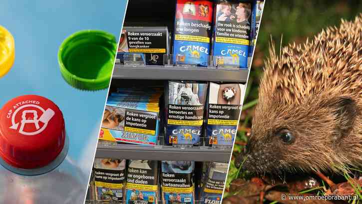 Verboden huisdieren en doppen vast aan fles: dit verandert er per 1 juli