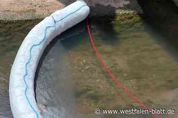 Borgentreich: Bis zu 100 Liter Altöl in der Eder entsorgt