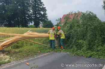 FW Lage: TH 0 / Blitzeinschlag in Birke ohne Feuer - 30.06.24 - 14:04 Uhr