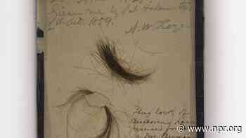 Yet More Evidence That Beethoven Had Severe Lead Poisoning