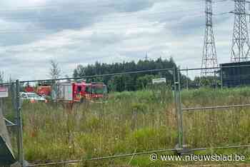 Vrouw komt in moeilijkheden in de Dender, maar dan passeert net op tijd een kajakker