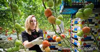 Een 18-jarige verdient minimaal 6,84 euro, maar op deze plekken is dat bedrag wel twee keer zo hoog