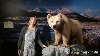 Die Kemptener Eiszeit-Ausstellung brach alle bisherigen Rekorde