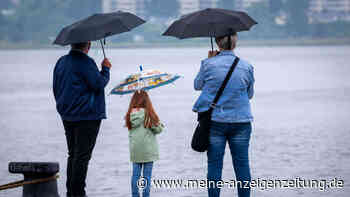 Experte prognostiziert drastische Wetterwende – „Der Sommer stürzt komplett ab“