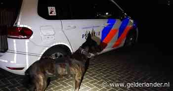 Autosleutels bij nachtelijke verkeersruzie in bosjes gegooid, hond Duco redt de dag