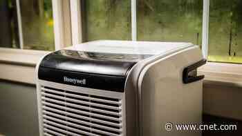 Best Dehumidifier for 2024