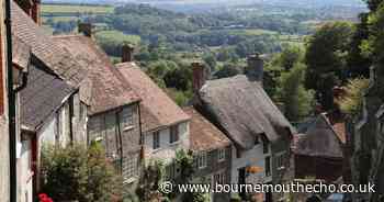 Six questions for North Dorset candidates