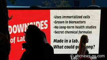 'Lab-grown' meat maker hosts Miami tasting party as Florida ban goes into effect