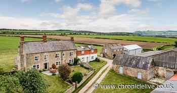 County Durham farm for sale with a chance to reap rewards for its location