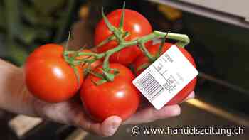 Kaufen Sie Lebensmittel online?