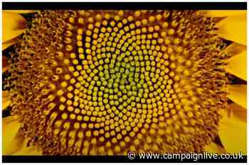 Royal Horticultural Society shortlists three agencies in media review