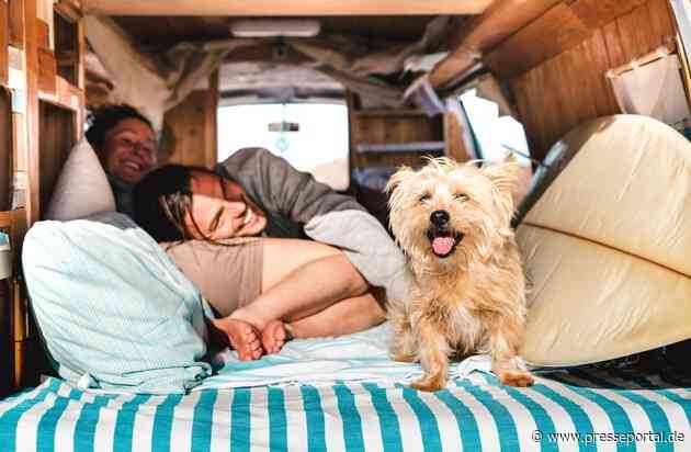 Mit dem Hund in den Urlaub: Achtung Leishmaniose! Drei Tipps zum Schutz vor der gefährlichen Reisekrankheit