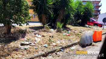 LETTORI - Quello che rimane dopo lo sfalcio