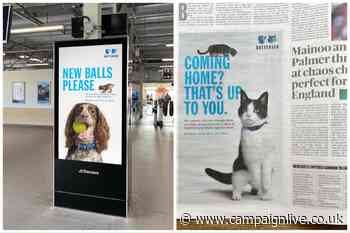 Battersea gets tactical with Euros and Wimbledon