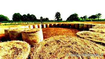 Teatro rurale al Bosco di Paliano