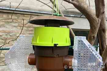 Gemeente deelt gratis vallen uit om Aziatische hoornaars te vangen