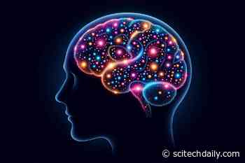 Scientists Have Uncovered Autism’s Earliest Biological Signs