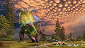 Meet Lokiceratops: New Dinosaur Wields Spectacular Blade-Like Horns