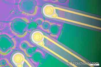 MIT’s Ultrasound Breakthrough: A New Era in Non-Invasive Brain Healing