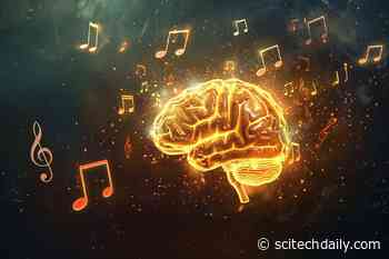 How Do We Recognize Songs Instantly? New Study Reveals How Humans Predict Musical Sequences