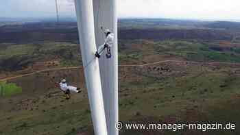 Grüne Geldanlage: Welche Comeback-Chancen haben nachhaltige Fonds?