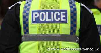 Rickmansworth man admits samurai sword and axe possesion