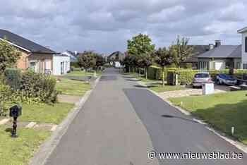 Bromfietser (16) zwaargewond afgevoerd na klap tegen geparkeerde vrachtwagen