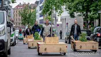 Bomen aan de wandel: Goudse buurten omgetoverd tot groene oases